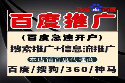 行业领先企业如何运用SEM运营推广